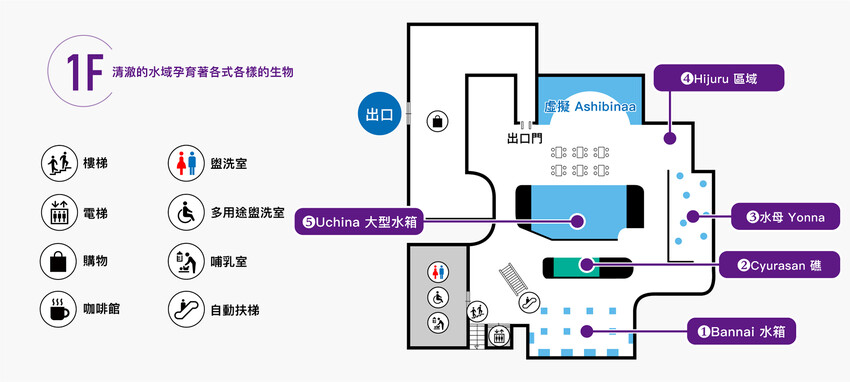 日本沖繩新型娛樂水族館、餵食預約、門票＆交通全解析｜DMM KARIYUSHI水族館完整攻略