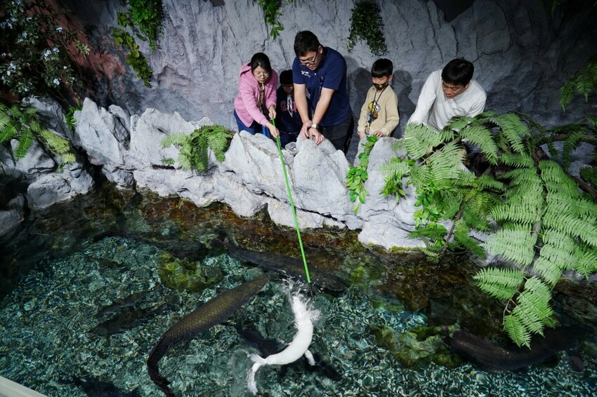 日本沖繩新型娛樂水族館、餵食預約、門票＆交通全解析｜DMM KARIYUSHI水族館完整攻略