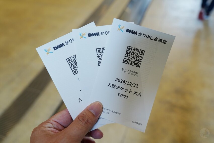 日本沖繩新型娛樂水族館、餵食預約、門票＆交通全解析｜DMM KARIYUSHI水族館完整攻略