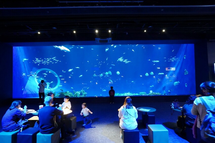 日本沖繩新型娛樂水族館、餵食預約、門票＆交通全解析｜DMM KARIYUSHI水族館完整攻略