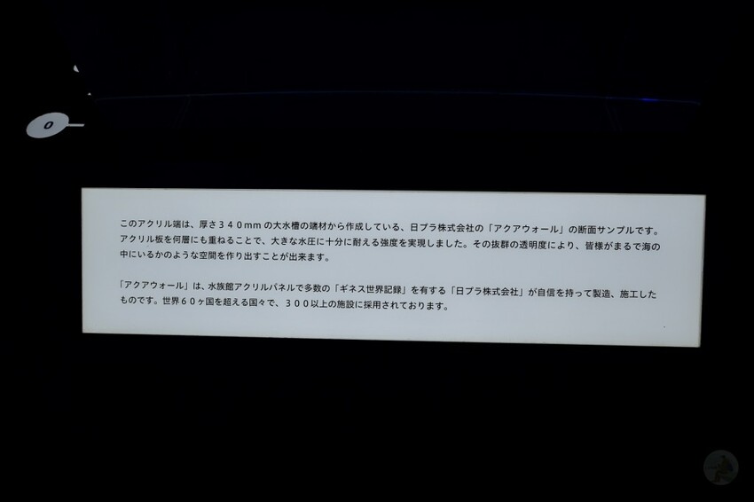 日本沖繩新型娛樂水族館、餵食預約、門票＆交通全解析｜DMM KARIYUSHI水族館完整攻略
