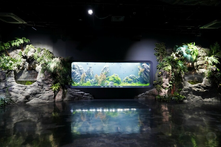 日本沖繩新型娛樂水族館、餵食預約、門票＆交通全解析｜DMM KARIYUSHI水族館完整攻略