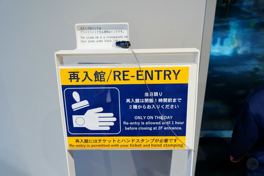 日本沖繩新型娛樂水族館、餵食預約、門票＆交通全解析｜DMM KARIYUSHI水族館完整攻略