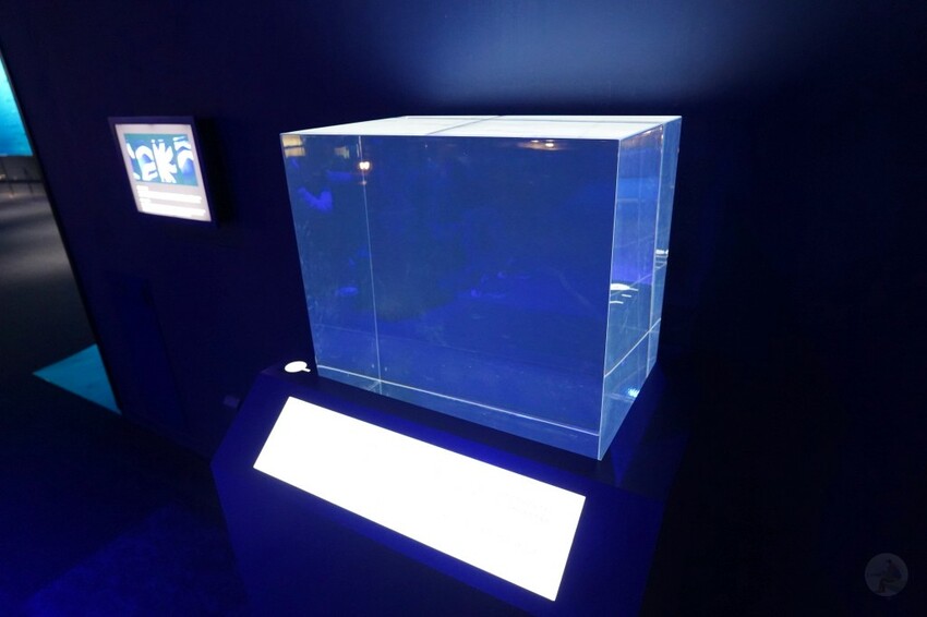 日本沖繩新型娛樂水族館、餵食預約、門票＆交通全解析｜DMM KARIYUSHI水族館完整攻略