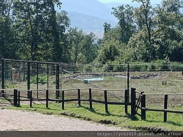 布拉索夫熊保育區