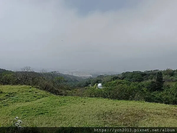 桃園蘆竹大古山賞香水櫻，發現桃園燈會展場