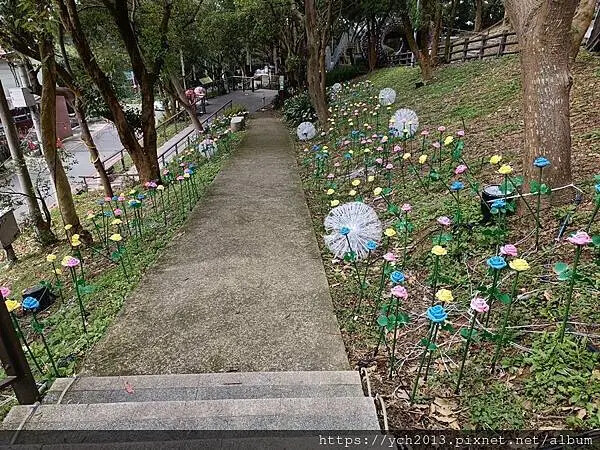 桃園蘆竹大古山賞香水櫻，發現桃園燈會展場