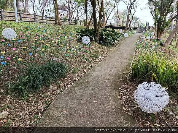 桃園蘆竹大古山賞香水櫻，發現桃園燈會展場