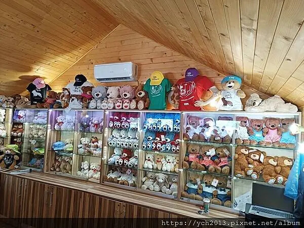 布拉索夫熊保育區