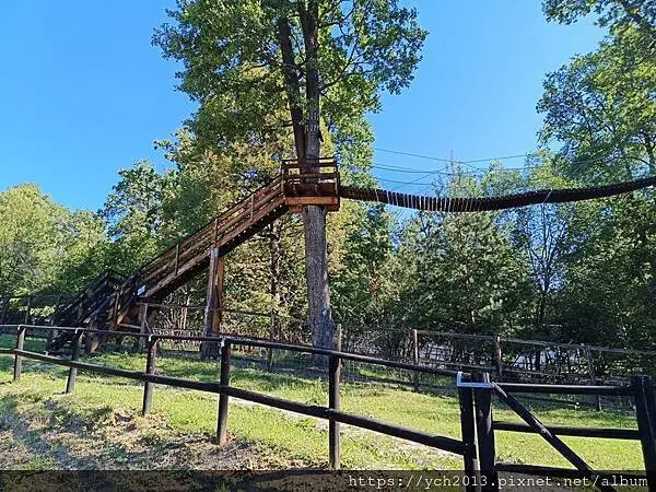 布拉索夫熊保育區