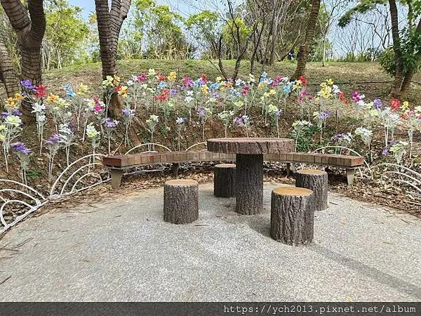 桃園蘆竹大古山賞香水櫻，發現桃園燈會展場