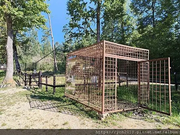 布拉索夫熊保育區