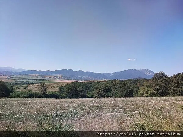 布拉索夫熊保育區