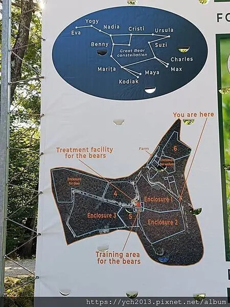 布拉索夫熊保育區