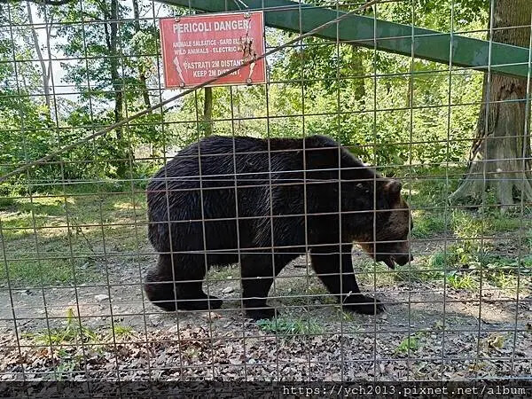 布拉索夫熊保育區