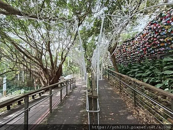 桃園蘆竹大古山賞香水櫻，發現桃園燈會展場