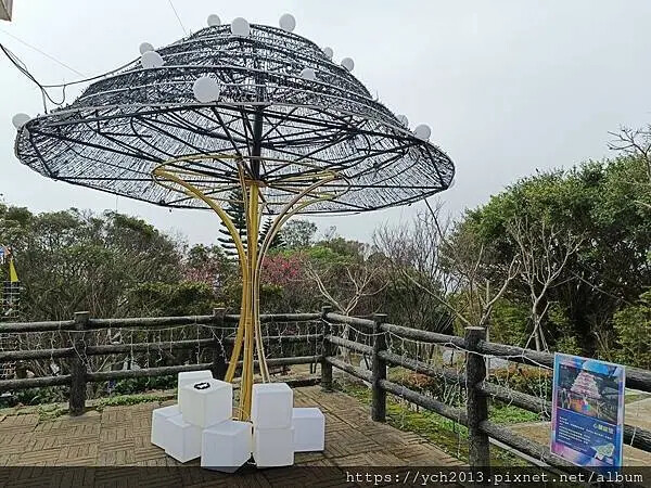 桃園蘆竹大古山賞香水櫻，發現桃園燈會展場