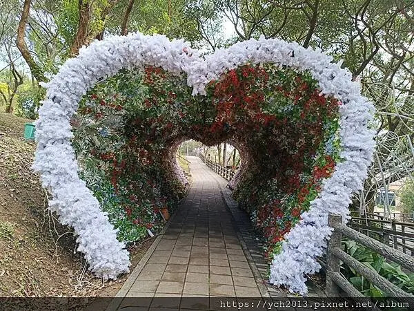 桃園蘆竹大古山賞香水櫻，發現桃園燈會展場