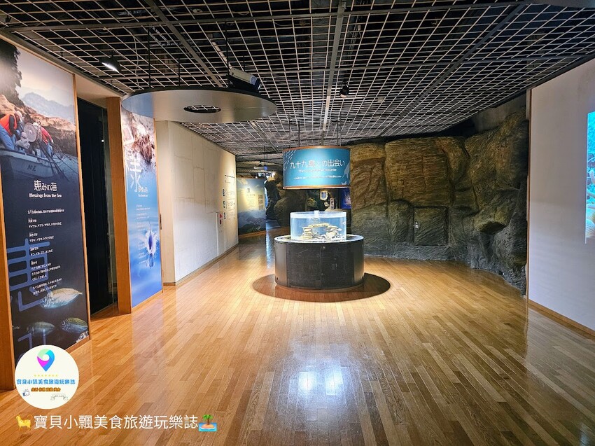 日本[旅遊]長崎 探秘九十九島水族館「海閃閃」 夢幻海洋世界與獨特體驗