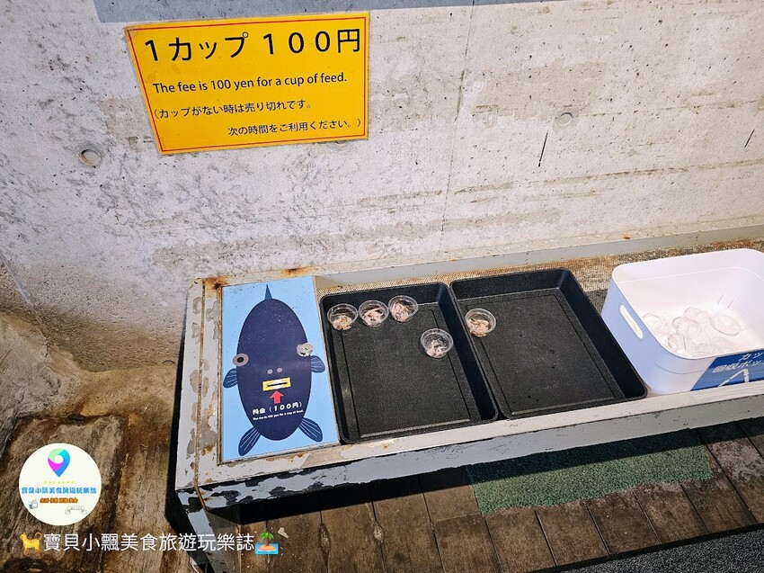 日本[旅遊]長崎 探秘九十九島水族館「海閃閃」 夢幻海洋世界與獨特體驗