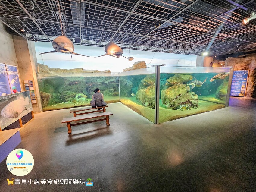 日本[旅遊]長崎 探秘九十九島水族館「海閃閃」 夢幻海洋世界與獨特體驗