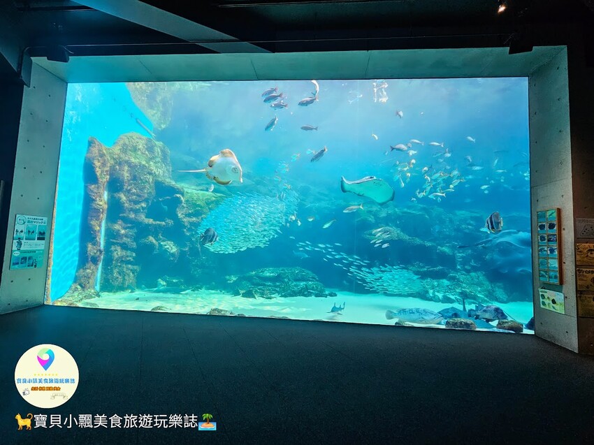 日本[旅遊]長崎 探秘九十九島水族館「海閃閃」 夢幻海洋世界與獨特體驗