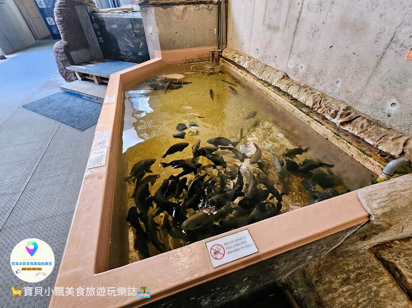 日本[旅遊]長崎 探秘九十九島水族館「海閃閃」 夢幻海洋世界與獨特體驗