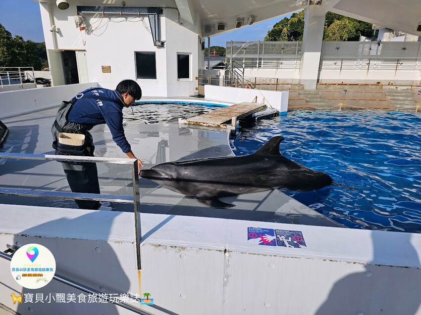 日本[旅遊]長崎 探秘九十九島水族館「海閃閃」 夢幻海洋世界與獨特體驗