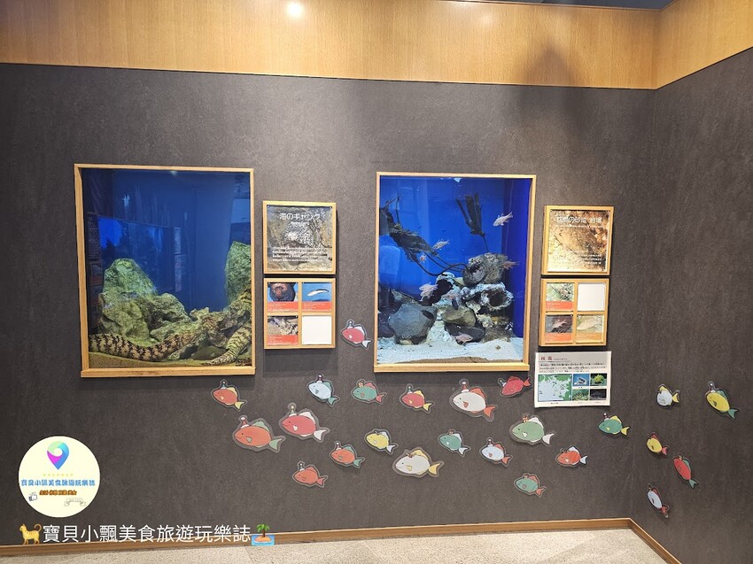 日本[旅遊]長崎 探秘九十九島水族館「海閃閃」 夢幻海洋世界與獨特體驗