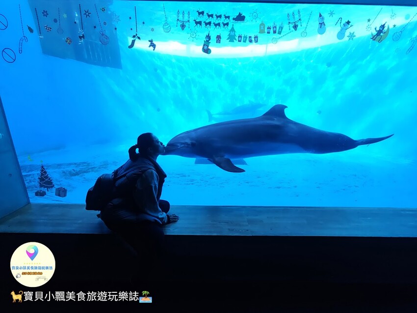 日本[旅遊]長崎 探秘九十九島水族館「海閃閃」 夢幻海洋世界與獨特體驗
