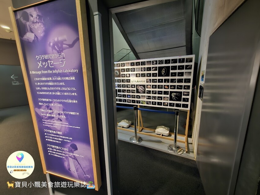 日本[旅遊]長崎 探秘九十九島水族館「海閃閃」 夢幻海洋世界與獨特體驗