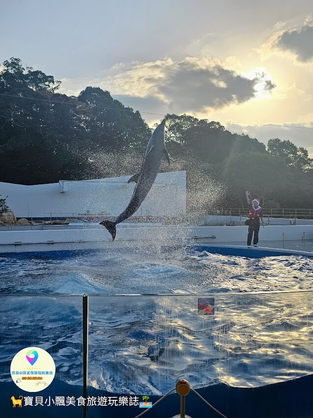 日本[旅遊]長崎 探秘九十九島水族館「海閃閃」 夢幻海洋世界與獨特體驗