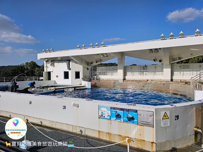 日本[旅遊]長崎 探秘九十九島水族館「海閃閃」 夢幻海洋世界與獨特體驗
