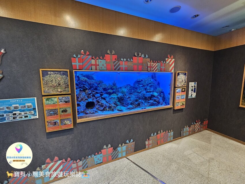 日本[旅遊]長崎 探秘九十九島水族館「海閃閃」 夢幻海洋世界與獨特體驗