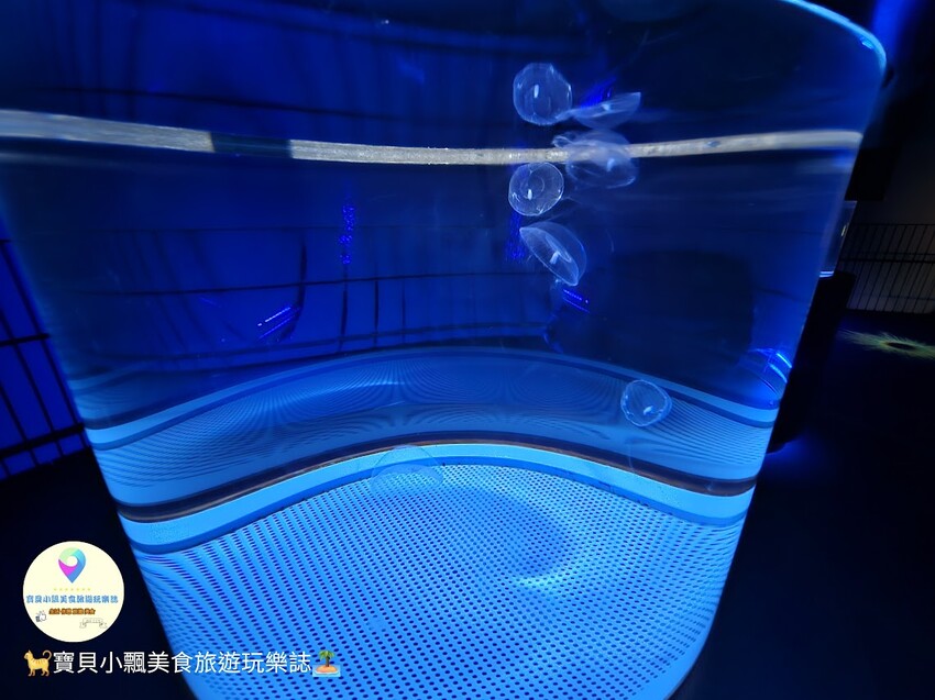 日本[旅遊]長崎 探秘九十九島水族館「海閃閃」 夢幻海洋世界與獨特體驗