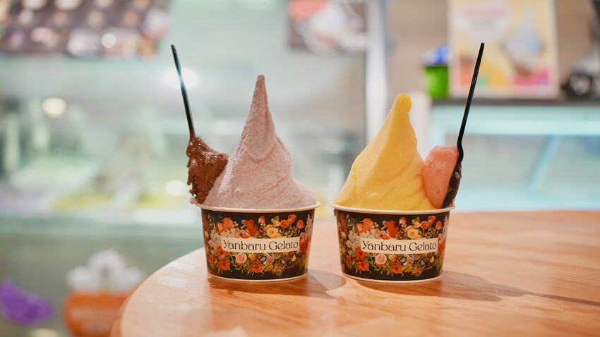 日本[沖繩] 沖繩FunPASS 旅遊攻略｜省很大！一票暢遊沖繩，沖繩旅遊必買套票