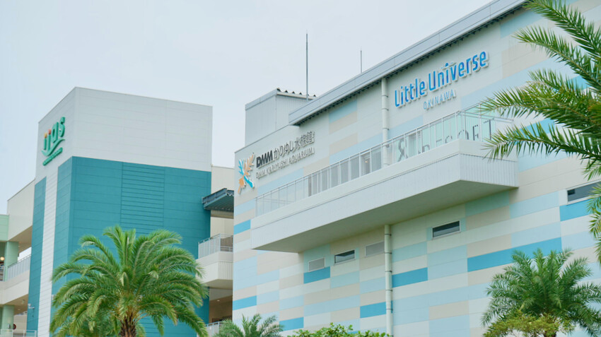 日本[沖繩] 沖繩FunPASS 旅遊攻略｜省很大！一票暢遊沖繩，沖繩旅遊必買套票