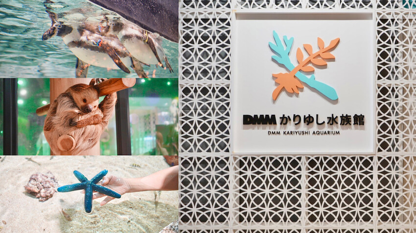 日本[沖繩] 沖繩FunPASS 旅遊攻略｜省很大！一票暢遊沖繩，沖繩旅遊必買套票