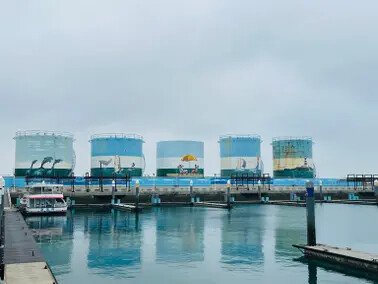 澎湖遊馬公市：澎湖生活博物館、星巴克澎湖喜來登門市、Pier3 三號港（路過）、菊島之星伴手禮（路過）、洪根深美術館