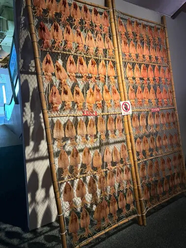 澎湖遊馬公市：澎湖生活博物館、星巴克澎湖喜來登門市、Pier3 三號港（路過）、菊島之星伴手禮（路過）、洪根深美術館