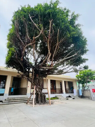 澎湖遊馬公市：澎湖生活博物館、星巴克澎湖喜來登門市、Pier3 三號港（路過）、菊島之星伴手禮（路過）、洪根深美術館