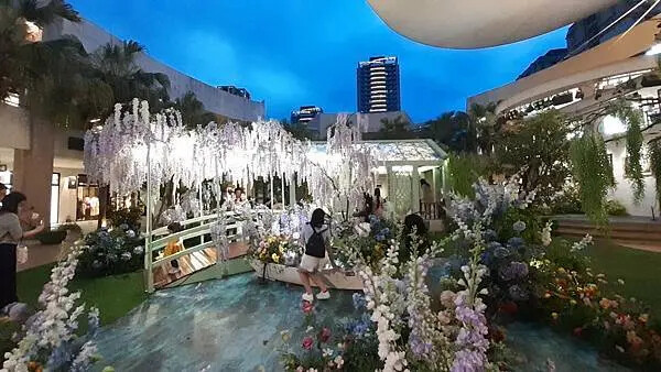 新北市林口區林口三井X莫內花園秘境 2025.03.13-05.25