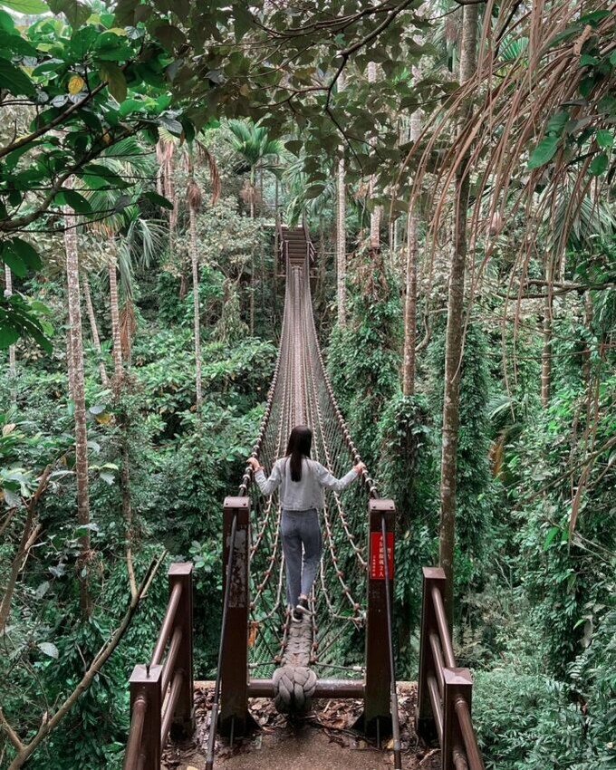雲林縣古坑鄉雲林登山步道|一篇帶你收藏7條雲林熱門步道,小抹茶山、台版大峽谷、龍過脈森林步道