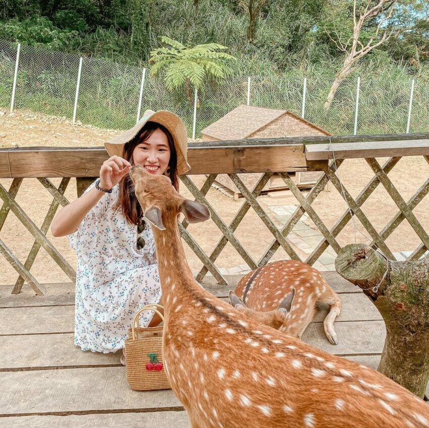 新北市金山區【朱銘美術館一日遊】全台最大戶外美術館推薦！必逛特展/門票優惠/交通/餐廳懶人包