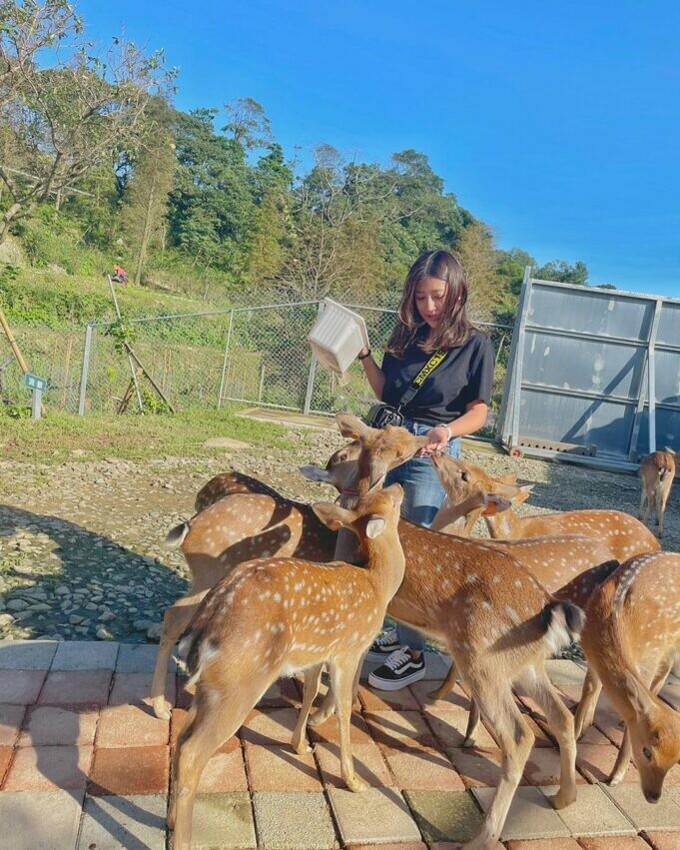 新北市金山區【朱銘美術館一日遊】全台最大戶外美術館推薦！必逛特展/門票優惠/交通/餐廳懶人包