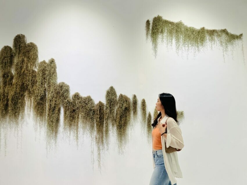 新北市金山區【朱銘美術館一日遊】全台最大戶外美術館推薦！必逛特展/門票優惠/交通/餐廳懶人包