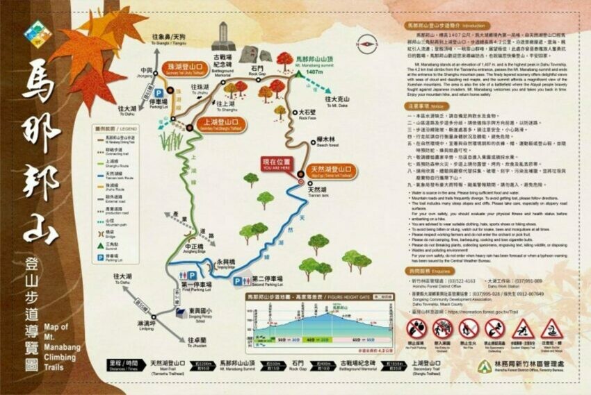 苗栗縣大湖鄉【馬那邦山】苗栗大湖兩天一夜推薦！在森森不息的馬那邦，享受被山嵐、湖光、森林包圍的時光