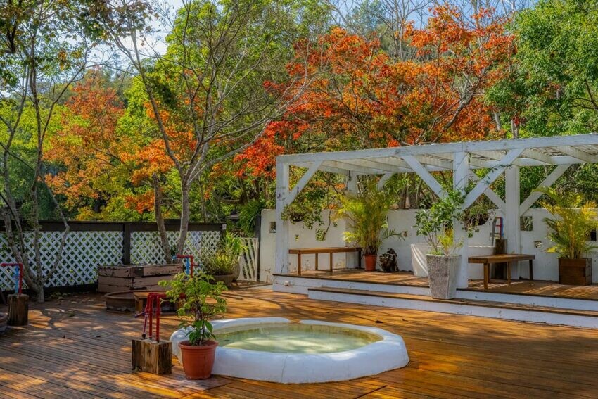 苗栗縣大湖鄉【馬那邦山】苗栗大湖兩天一夜推薦！在森森不息的馬那邦，享受被山嵐、湖光、森林包圍的時光