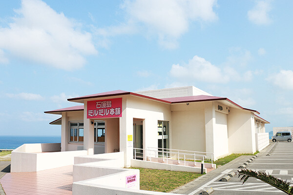 日本2025沖繩石垣島美食推薦!石垣島必吃石垣牛、豆腐特色美食餐廳