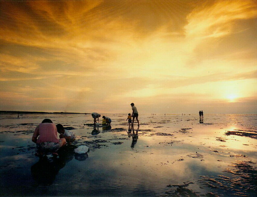 彰化縣線西鄉台灣優格餅乾學院｜台版霍格華茲餅乾DIY，彰化免門票觀光工廠＆交通資訊，彰化免費景點